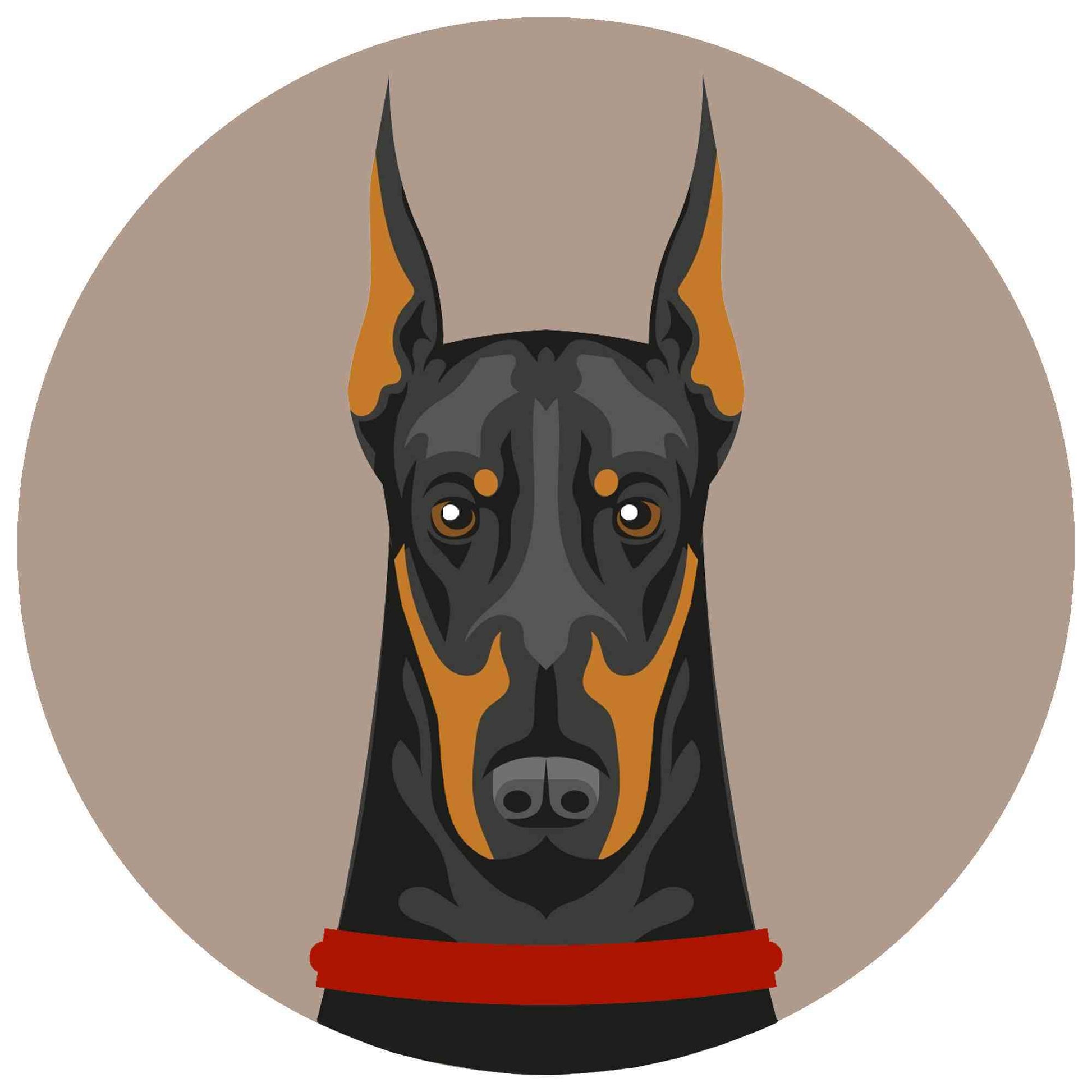 Doberman