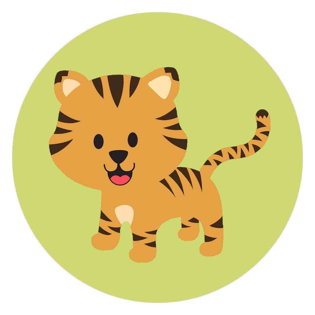 Baby tiger