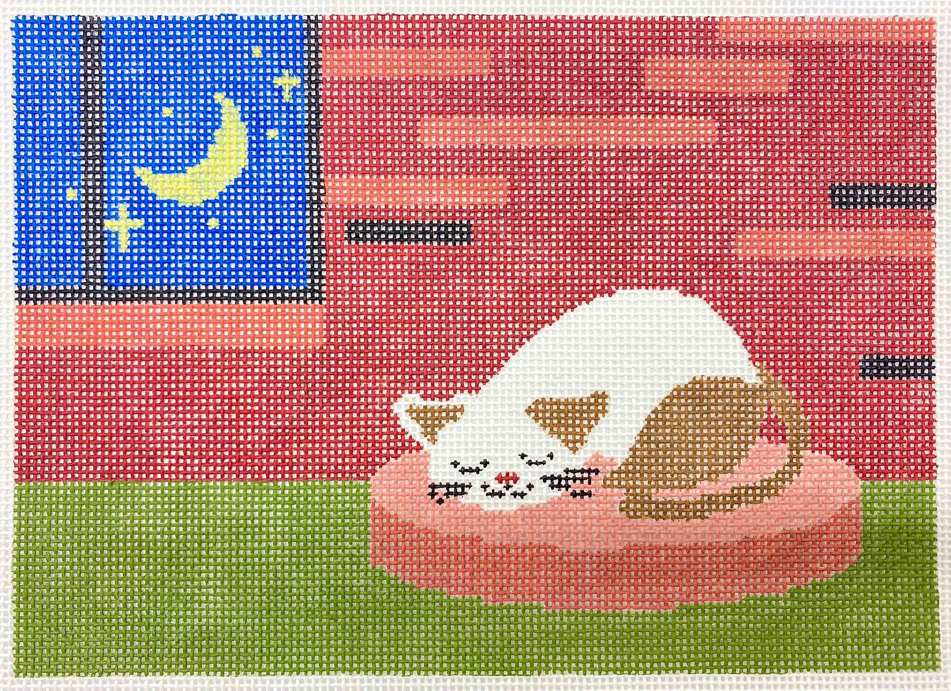 Cat sleeping 1