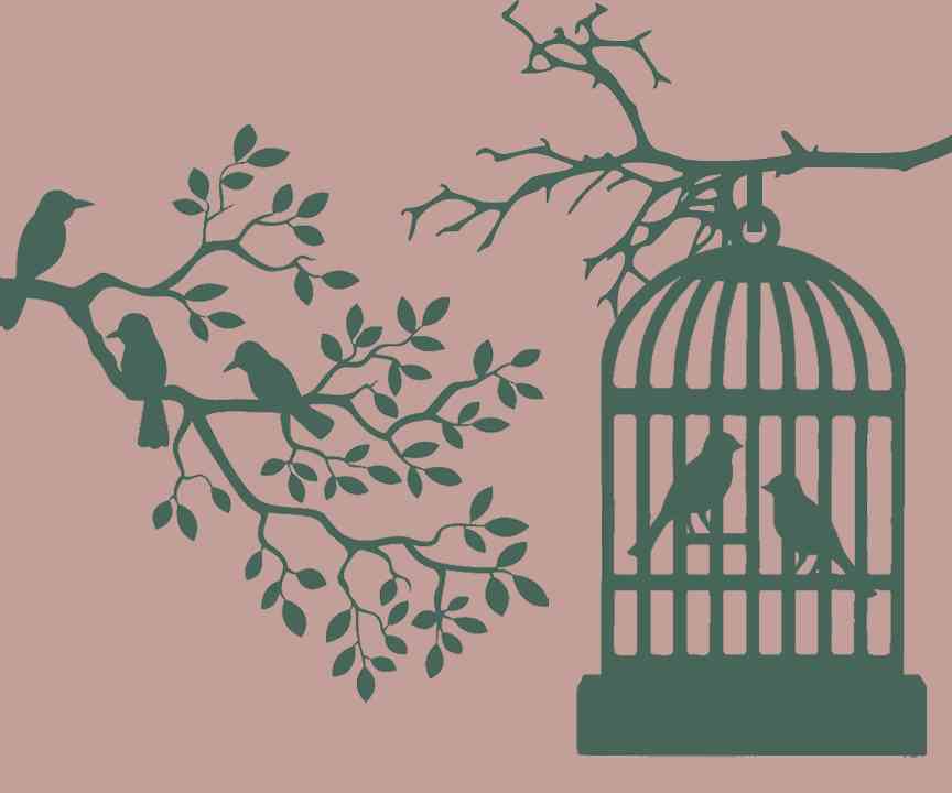 Birds on Leaves and Bird Cage