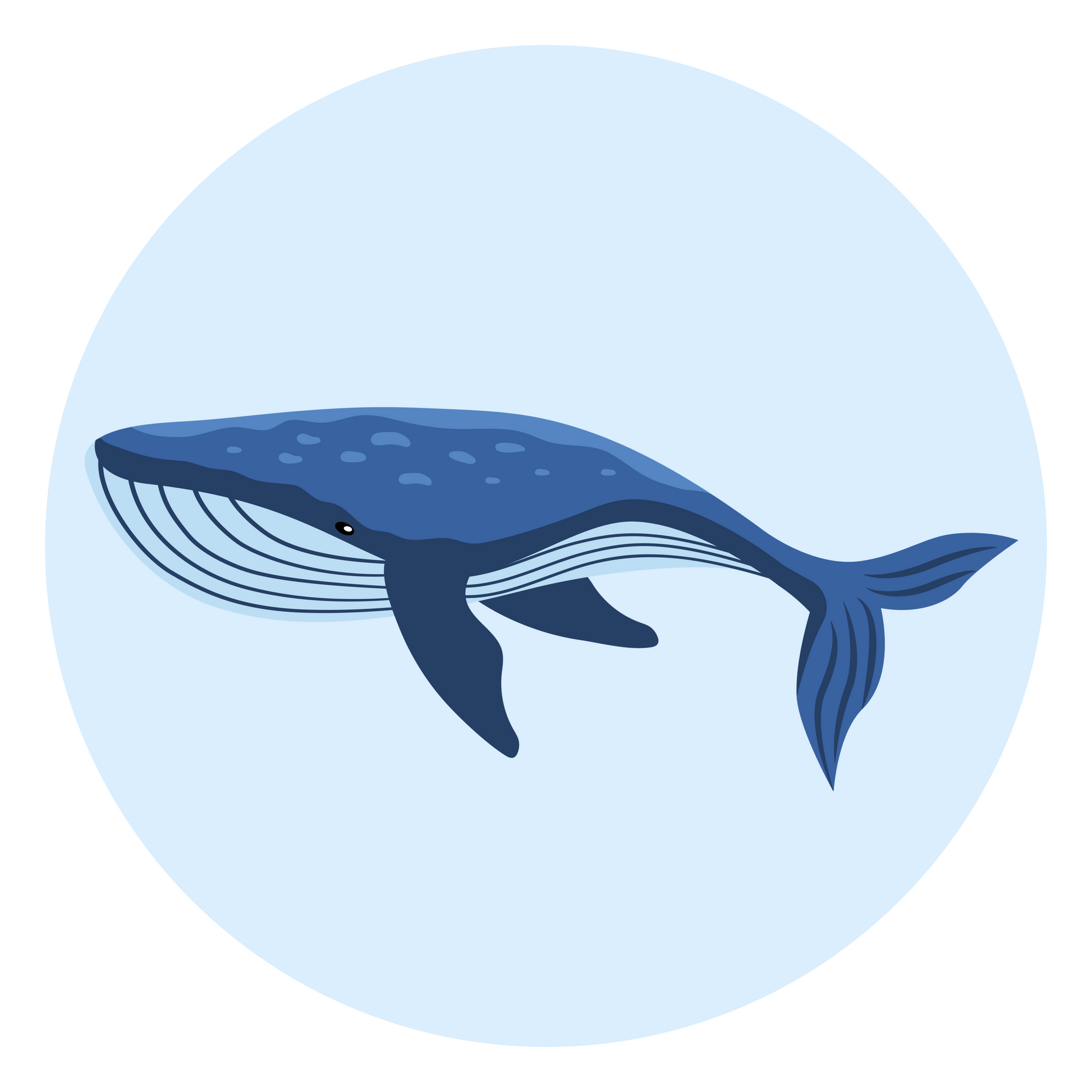 Cartoon Blue Whale