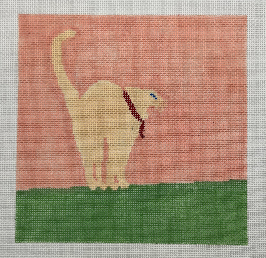 Frighten White Cat