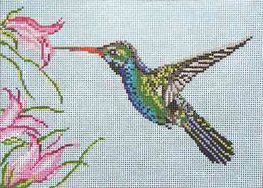 Hummingbird - Broad Billed (13 ct)