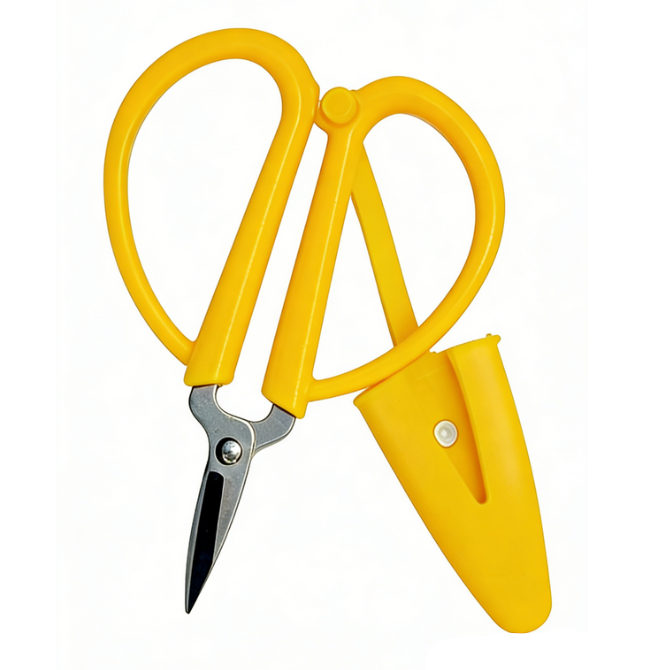 Colorful mini scissors