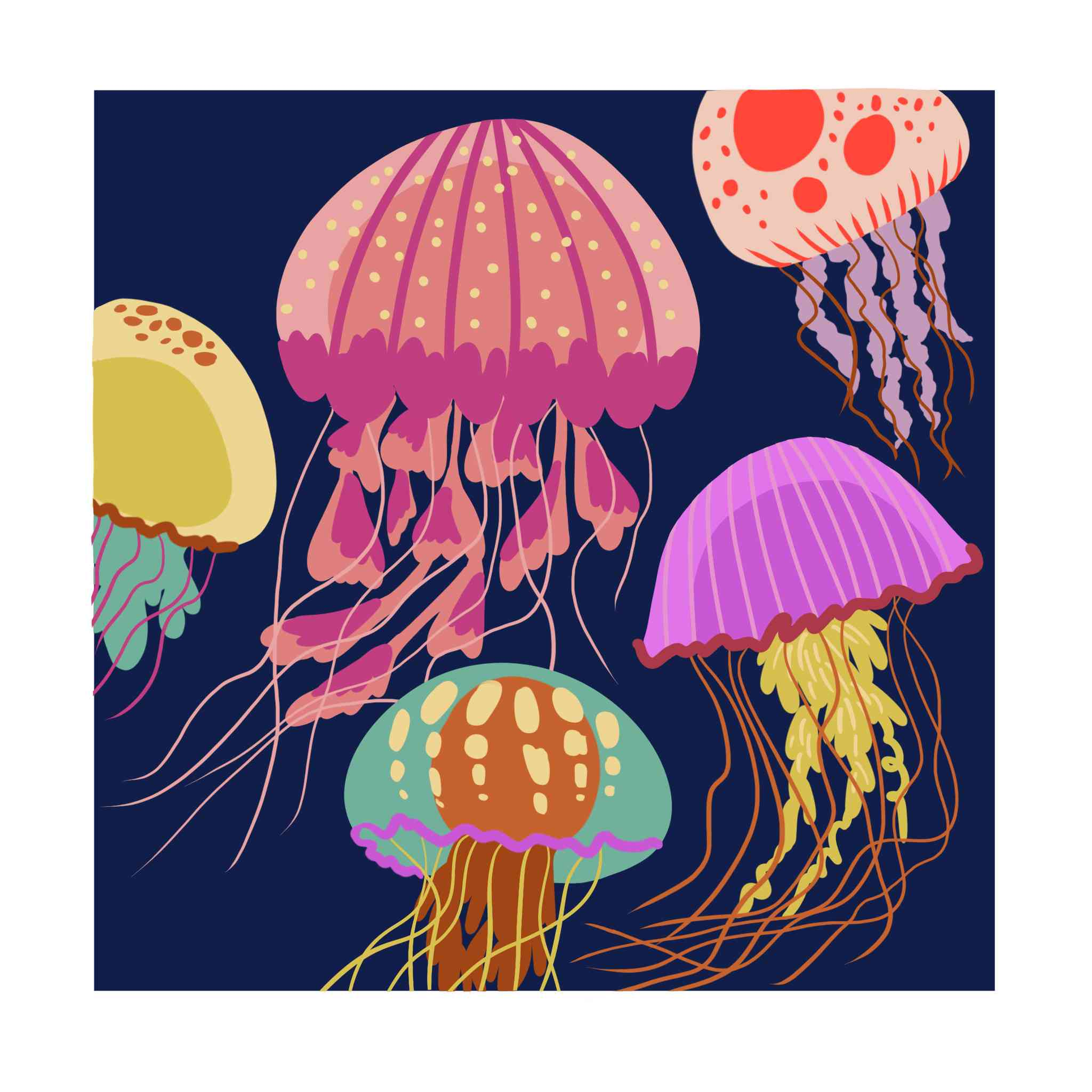 Vivid Jellyfish