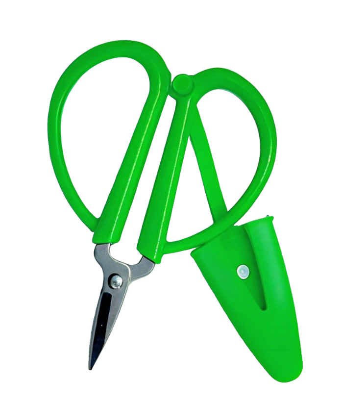 Colorful mini scissors