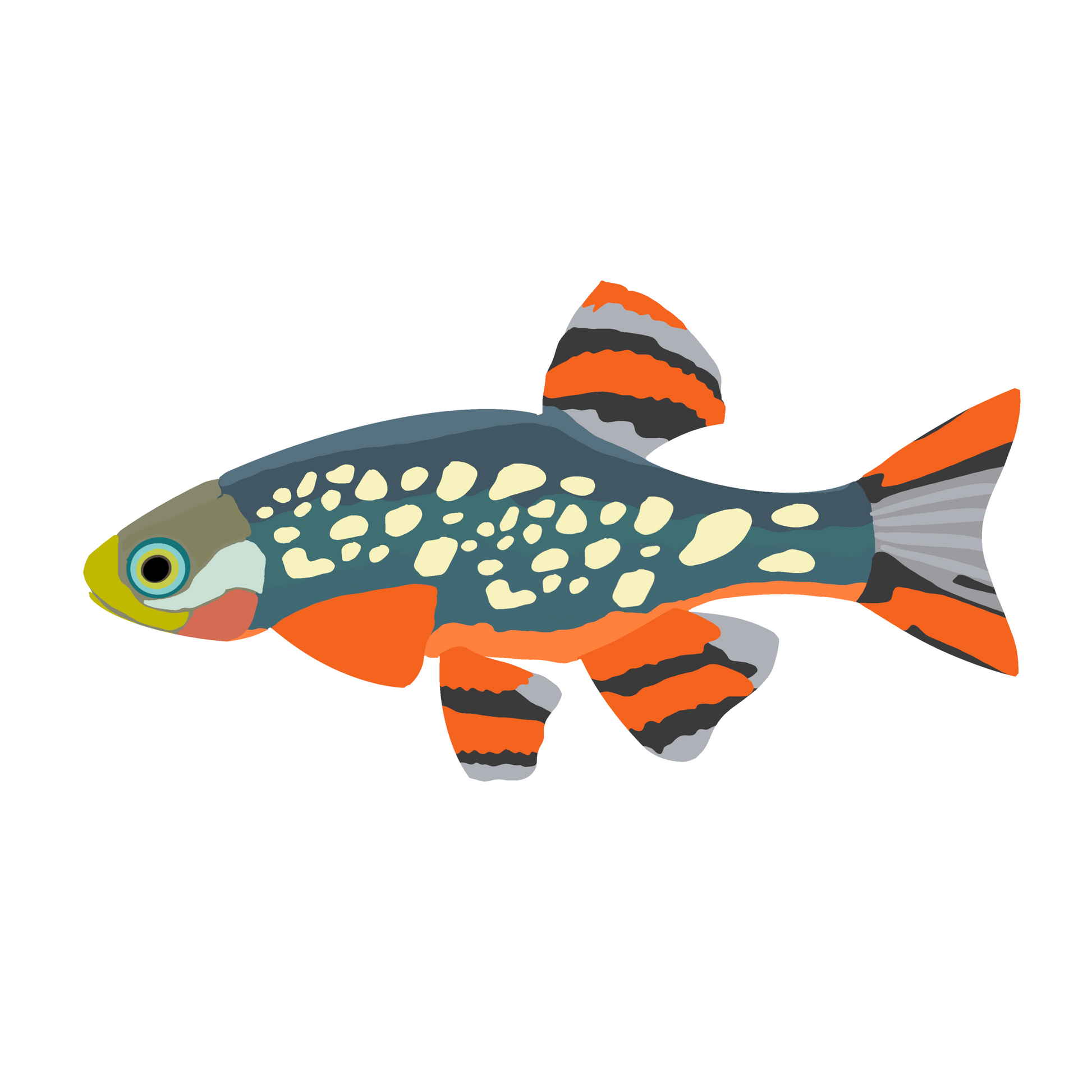 Colorful Tropical Fish