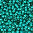 Sundance Seed Beads