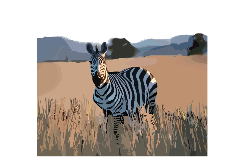 Safari Zebra