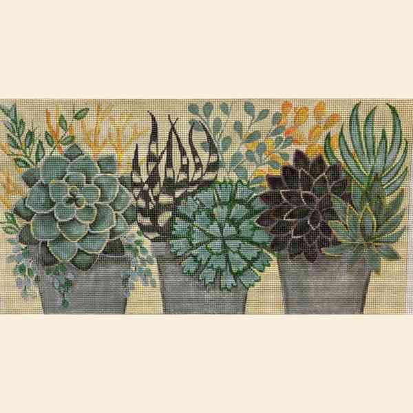 SUCCULENTS