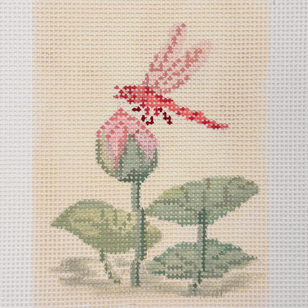 Dragonfly-Blush Lotus