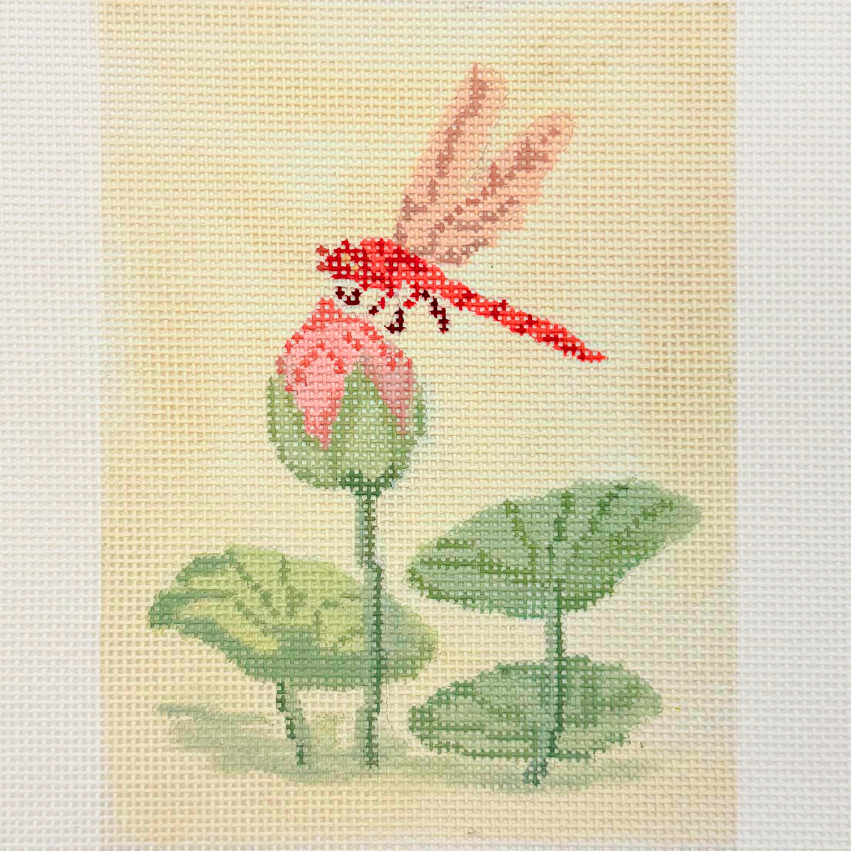 Dragonfly-Blush Lotus