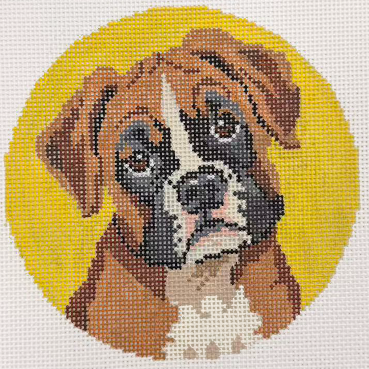 Joyful Dog - Sweet Boxer Puppy