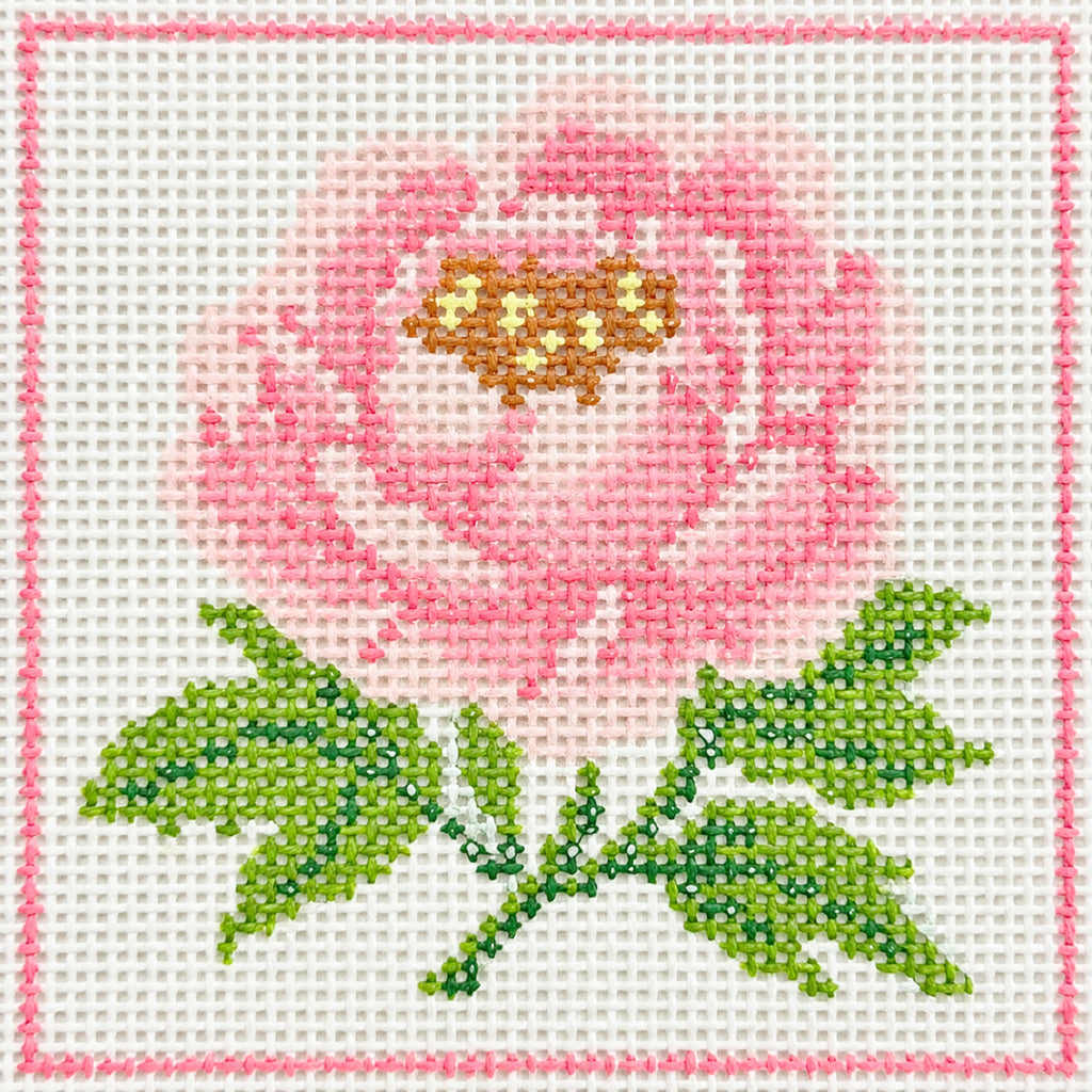 Simple Flowers - Blush Peony