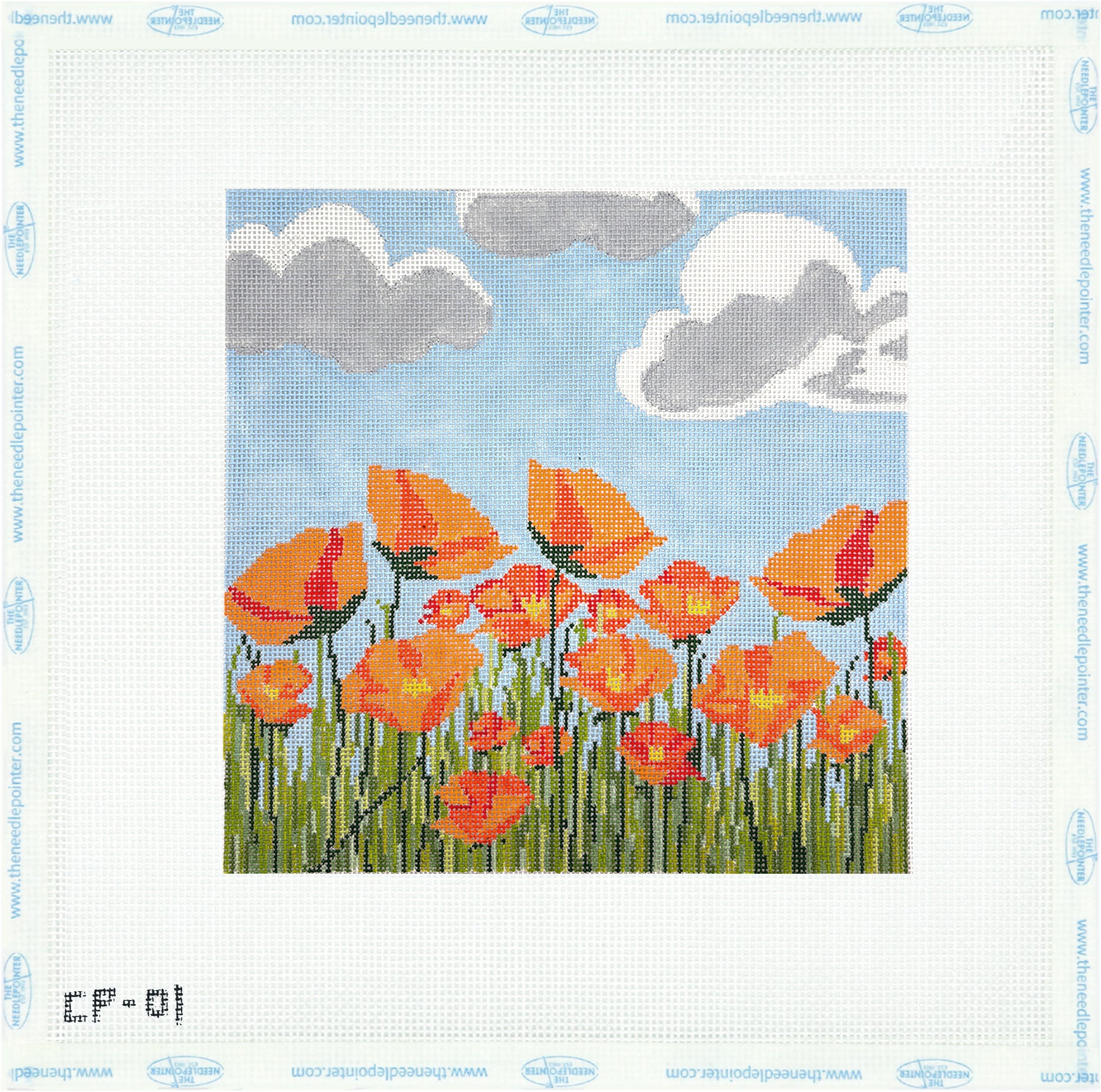 California Poppy - Orange