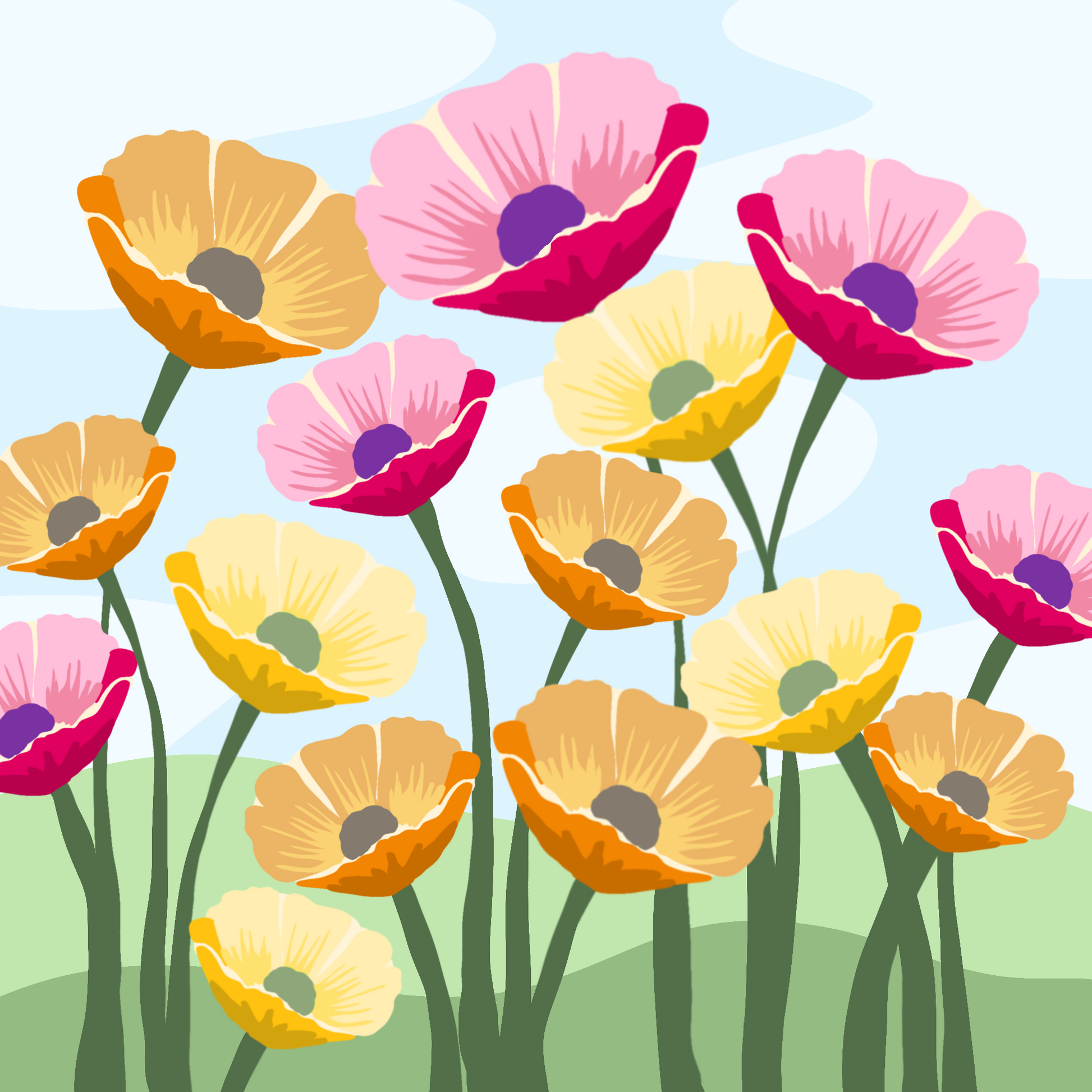 Colorful Poppies Illustration