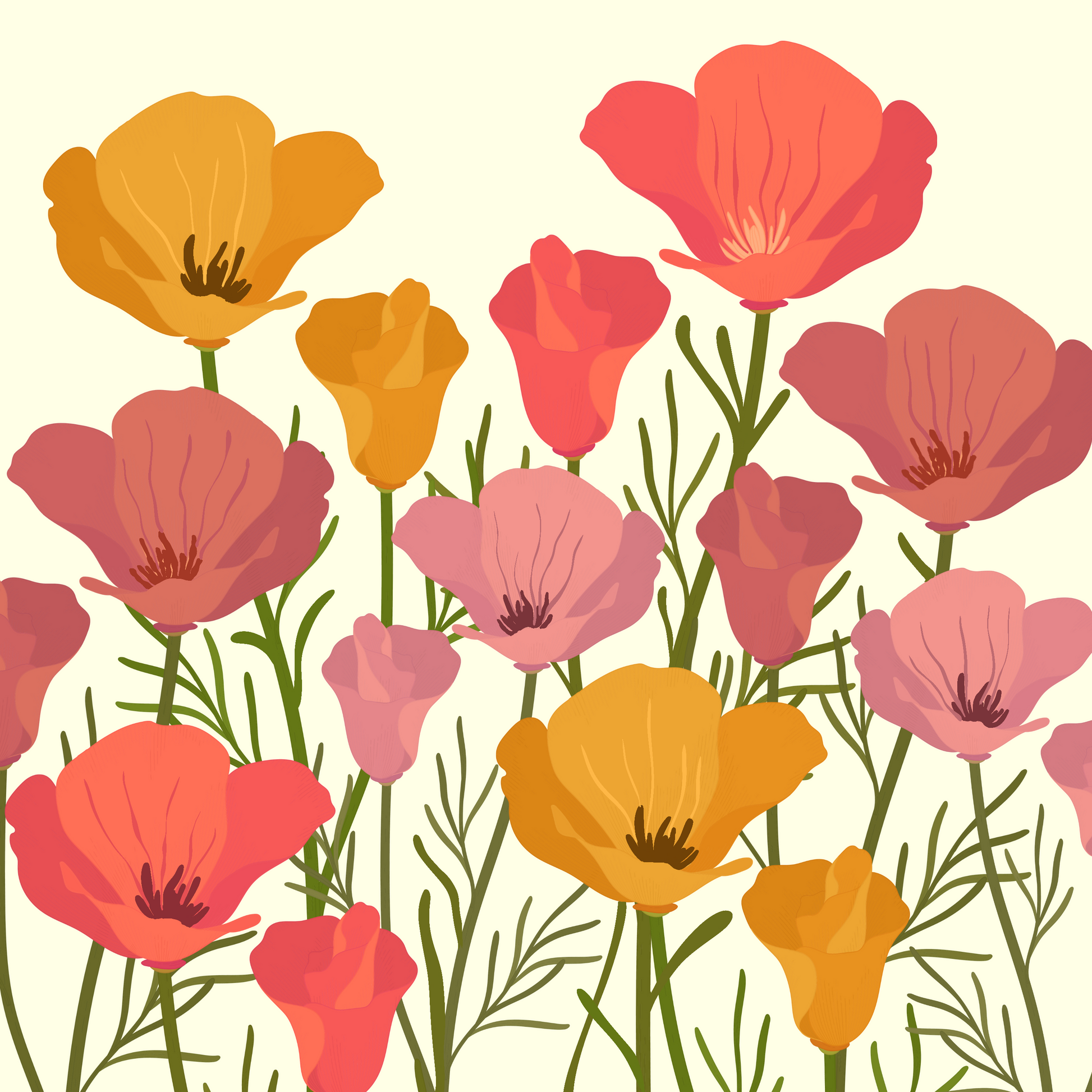 Colorful Poppies Illustration