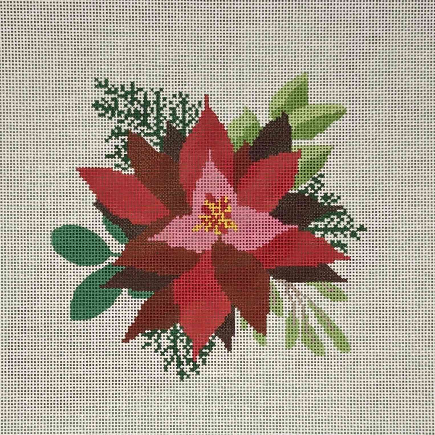 Red Poinsettia on White Background