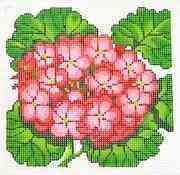 Single Flower - Geranium