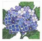 Single Flower - Hydrangea