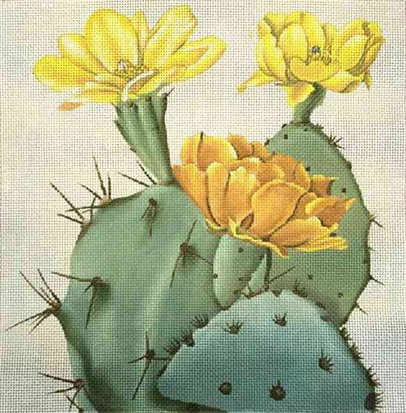 Cactus Blooms