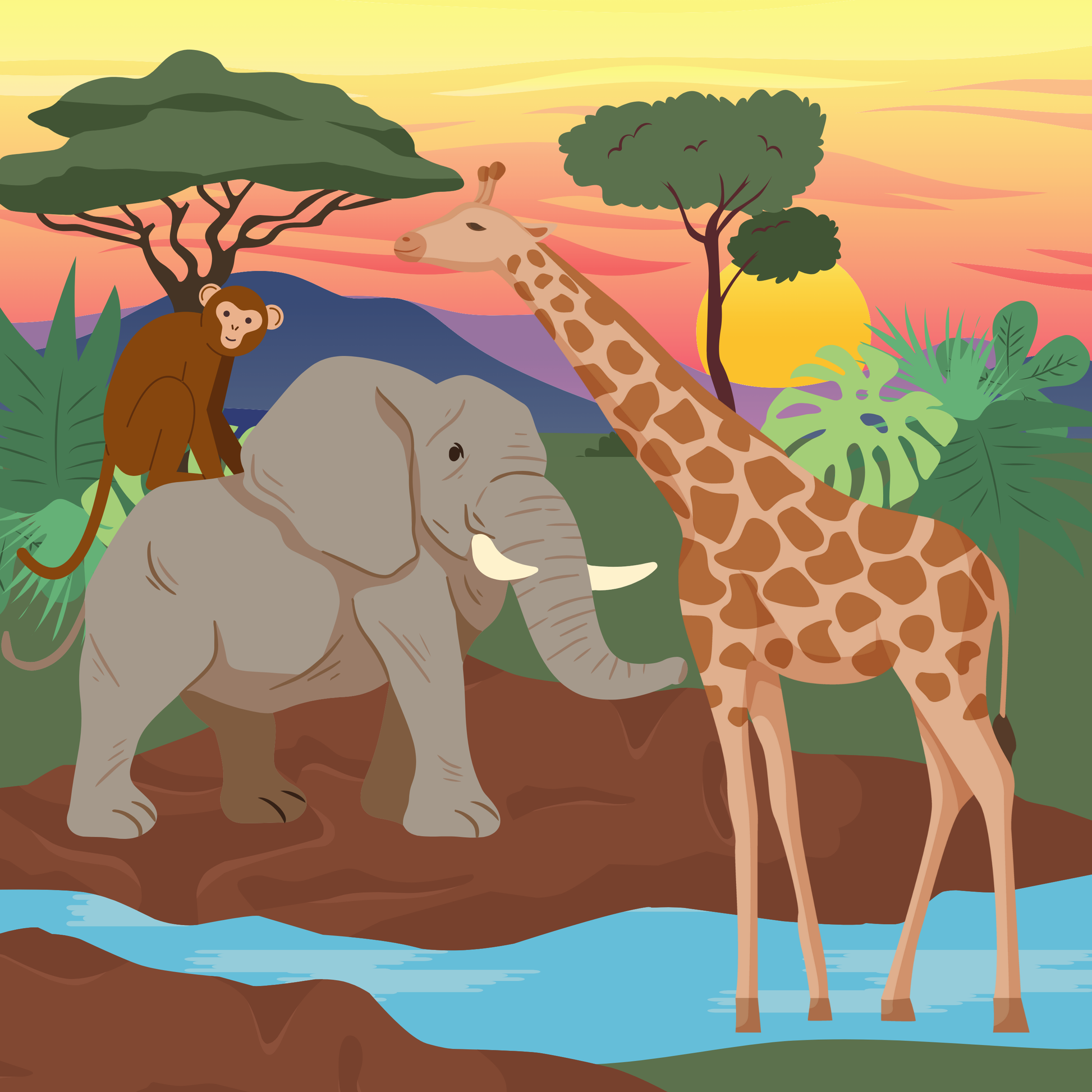 Setting Sun Wildlife: Cute animals