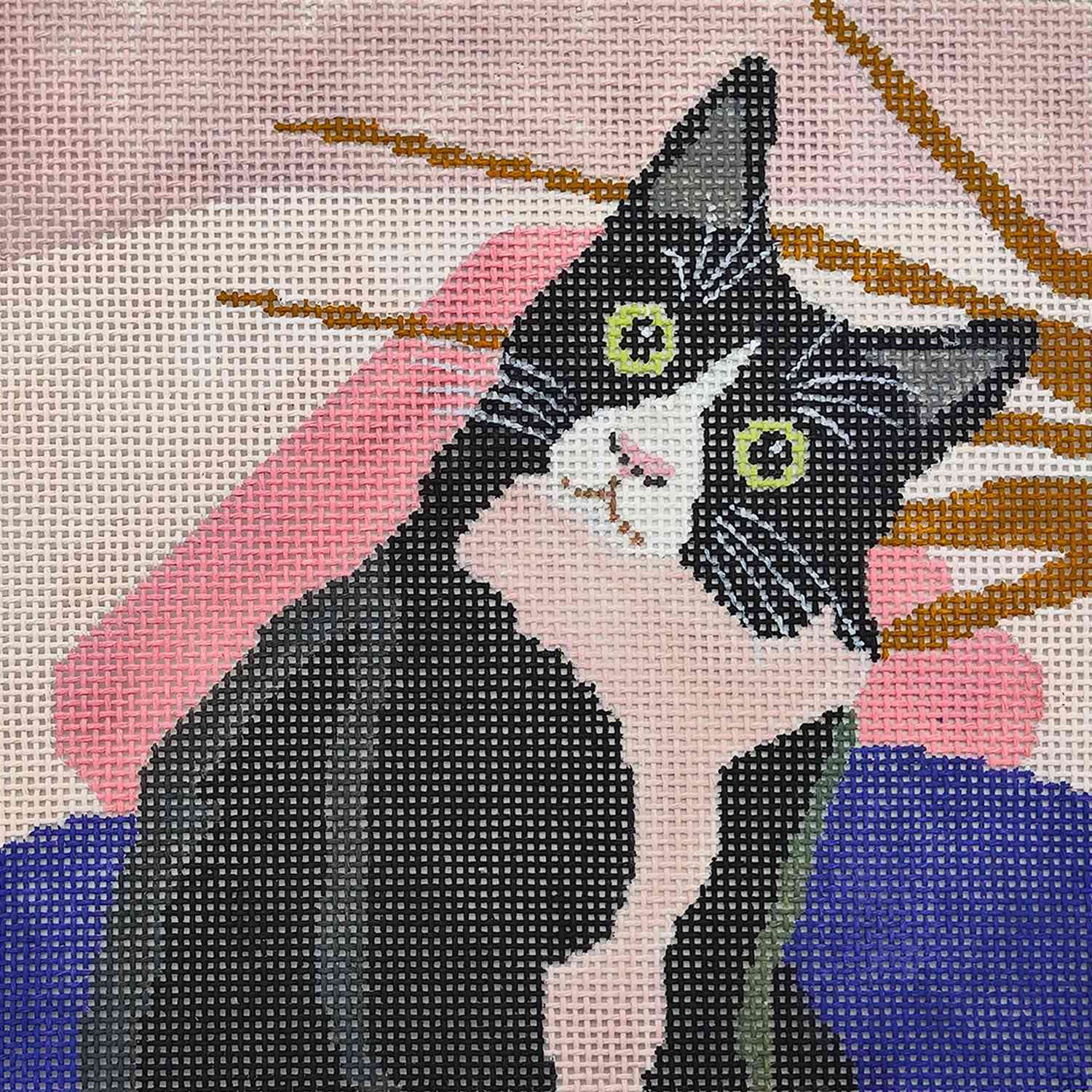 Cute Black and white Cat