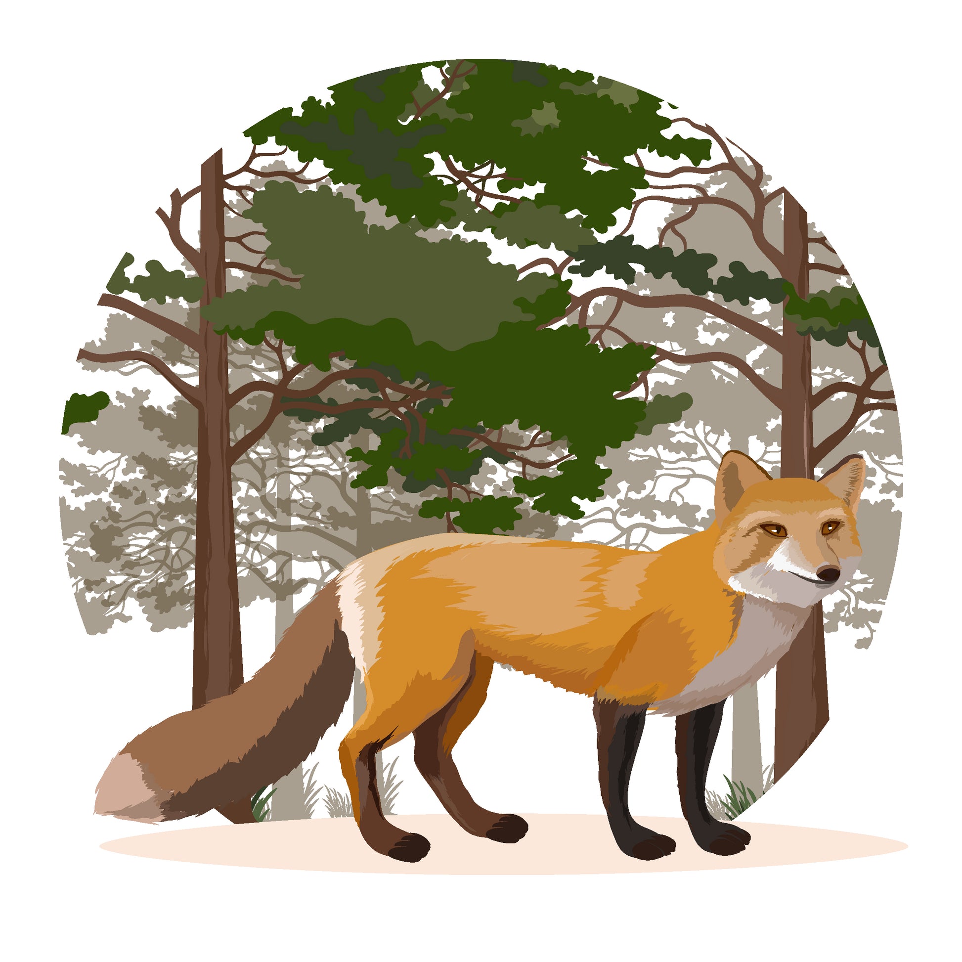 Fox