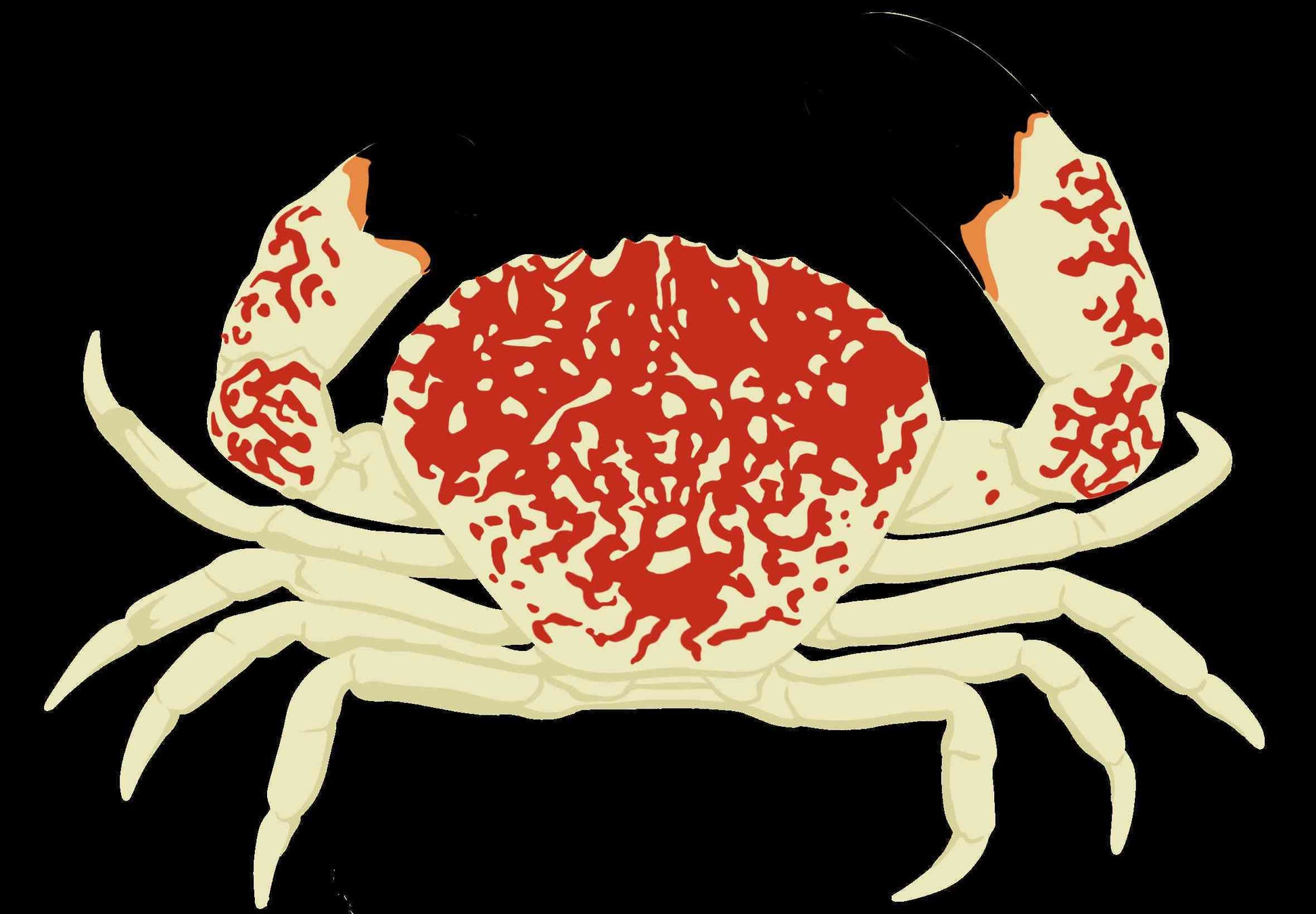 King Crab