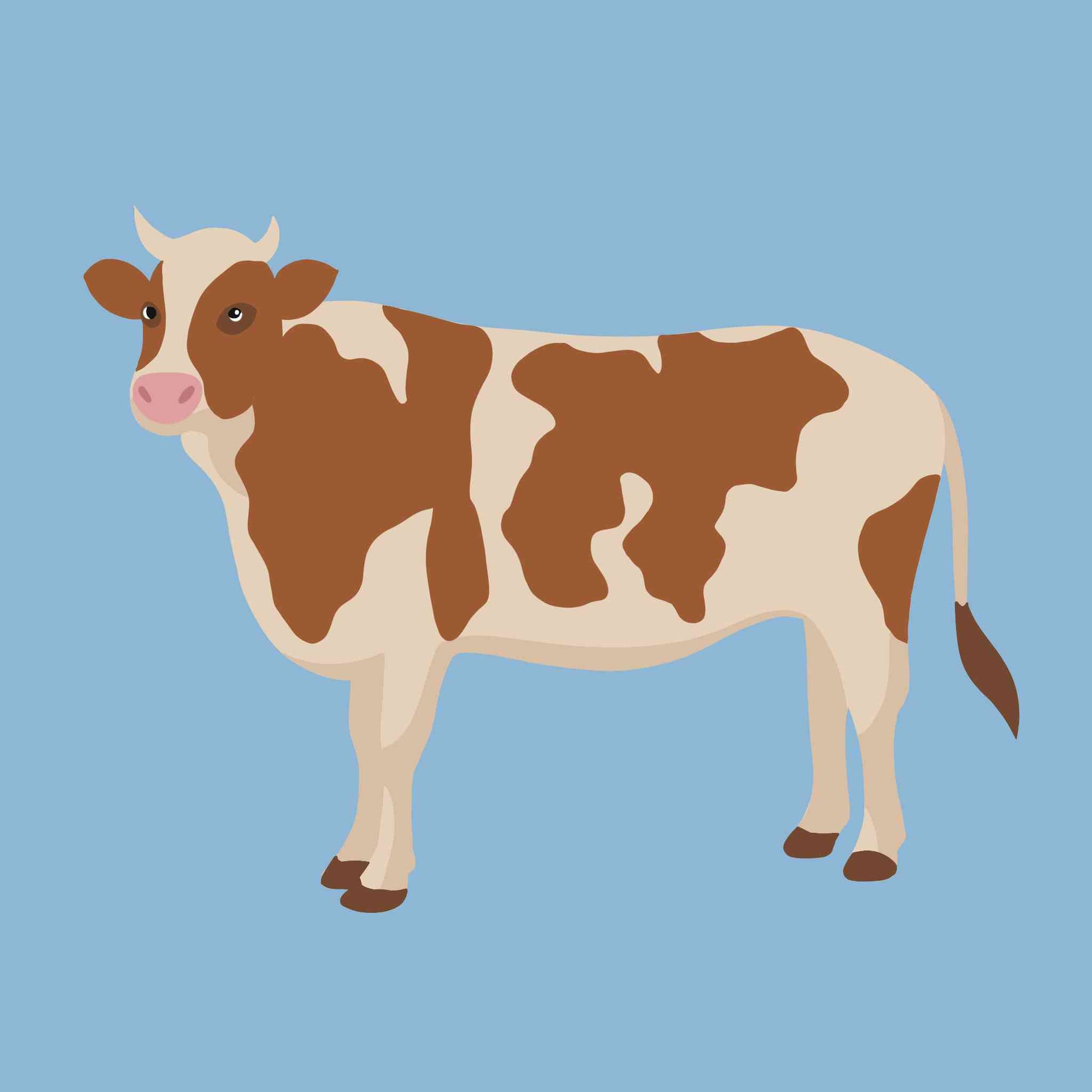 Brown Cow