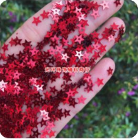 Twinkling Sequins with Beads