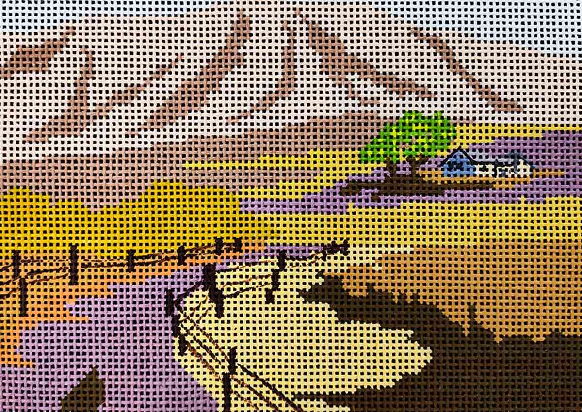 California Hill - The Downward Trail