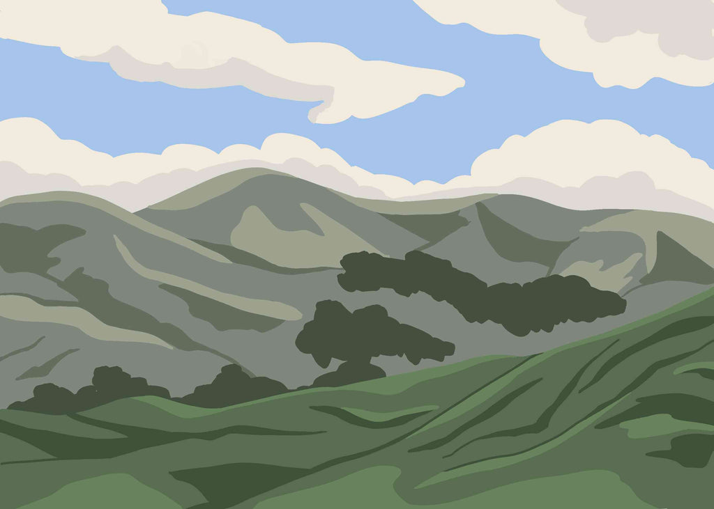Sunny California Hill