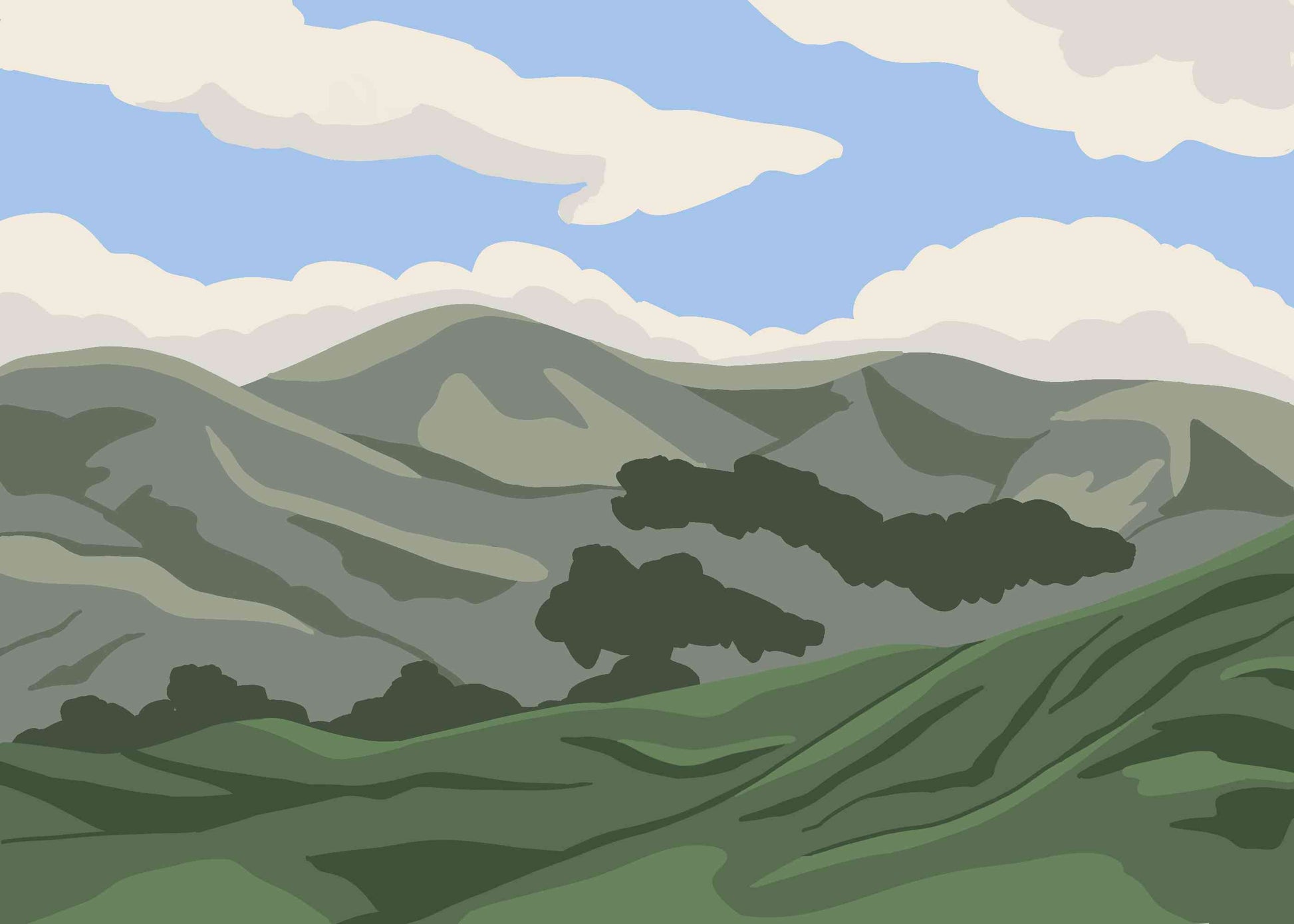 Sunny California Hill