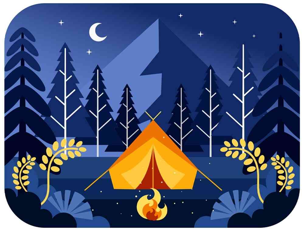 Camping at night in the forest