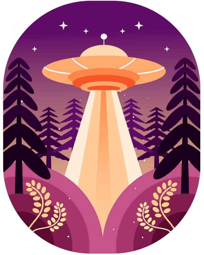 UFO in the forest at night