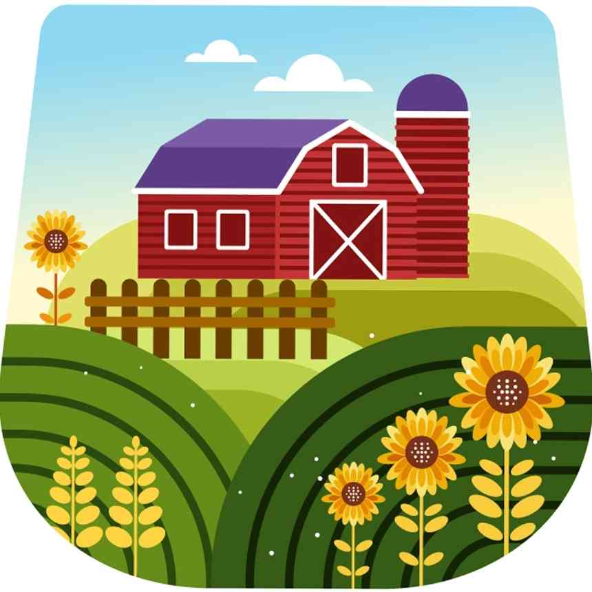 Farm house and sunflower field