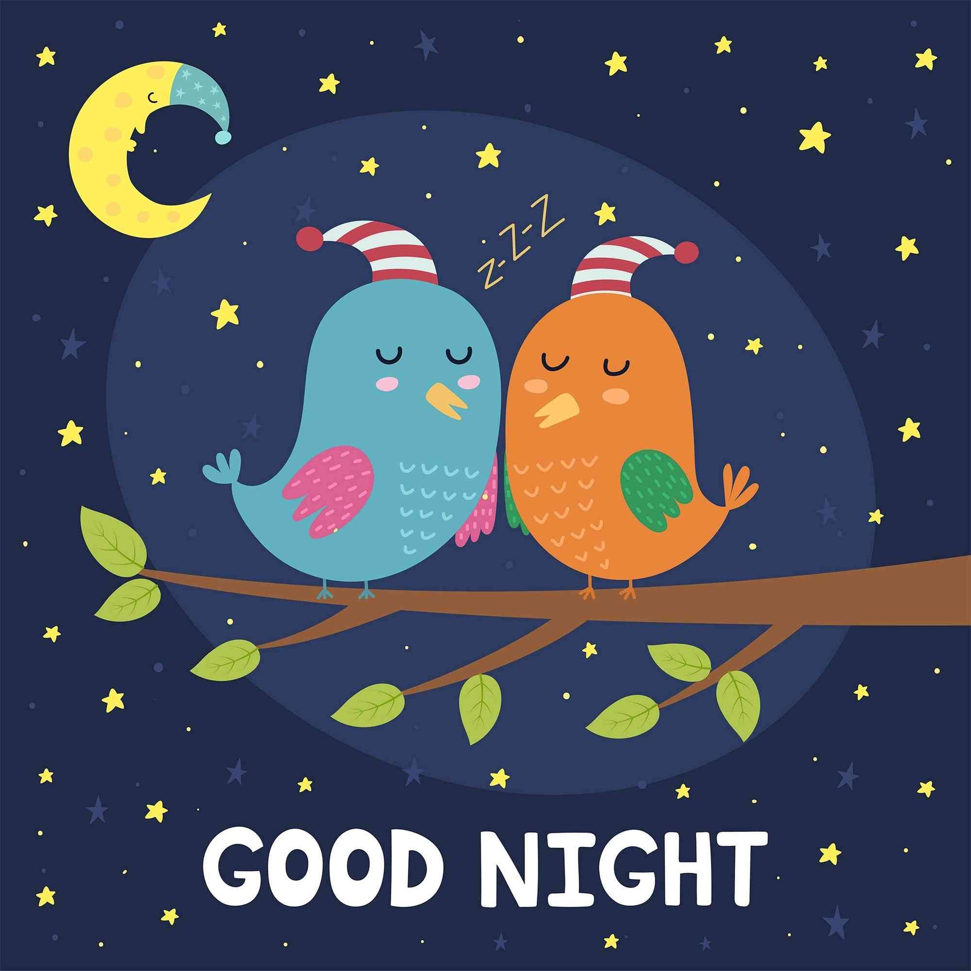 Good Night - birds