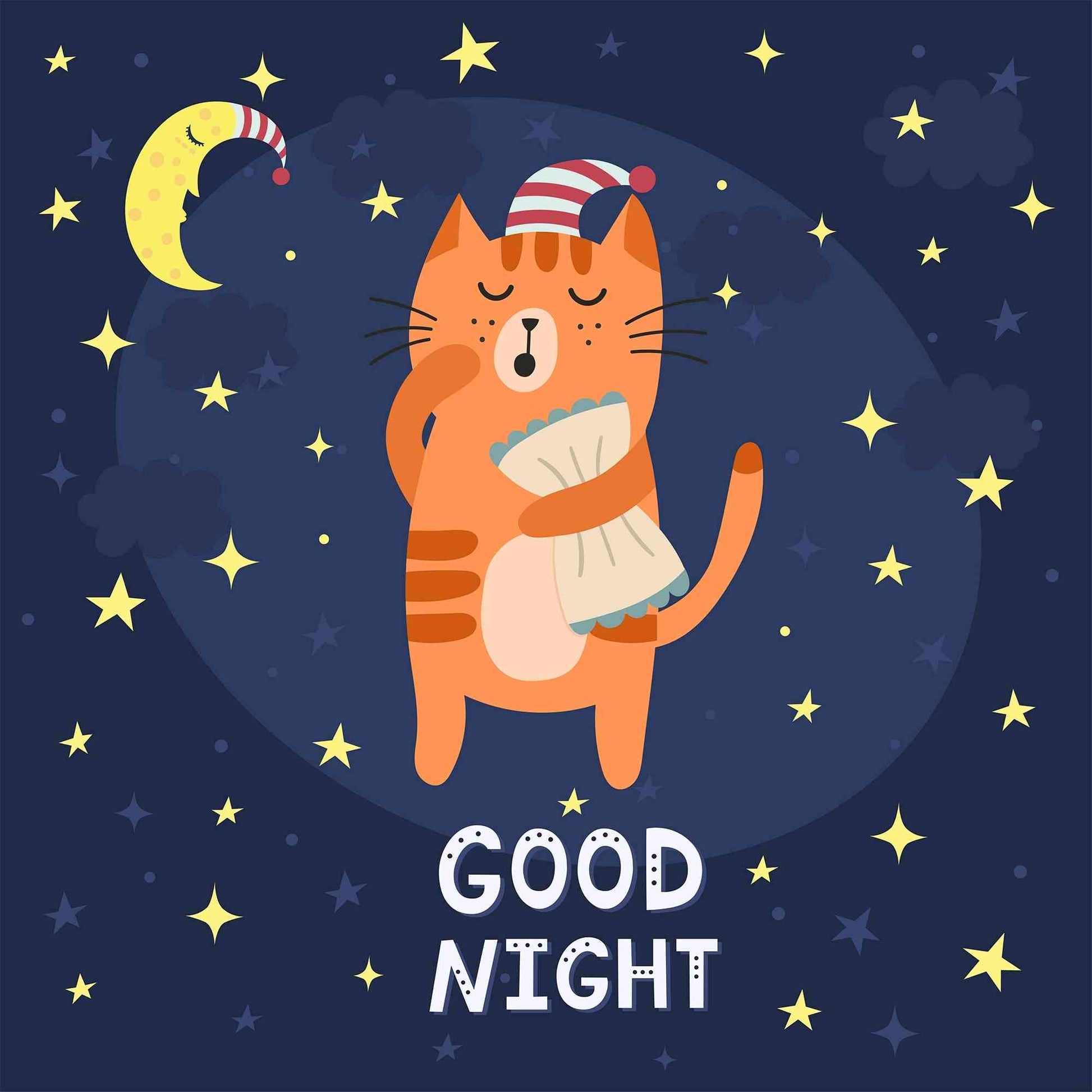Good Night - cat