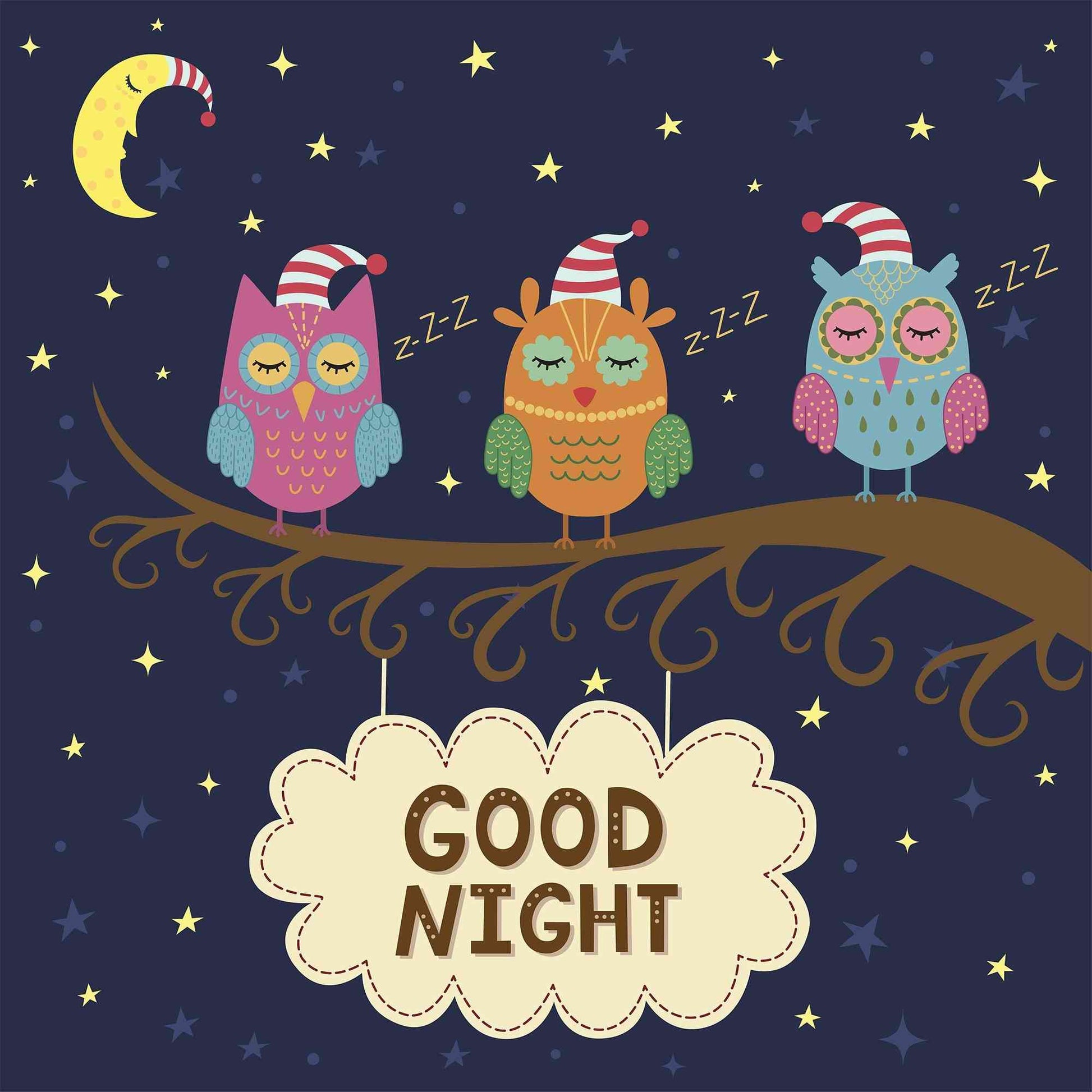 Good Night - owls