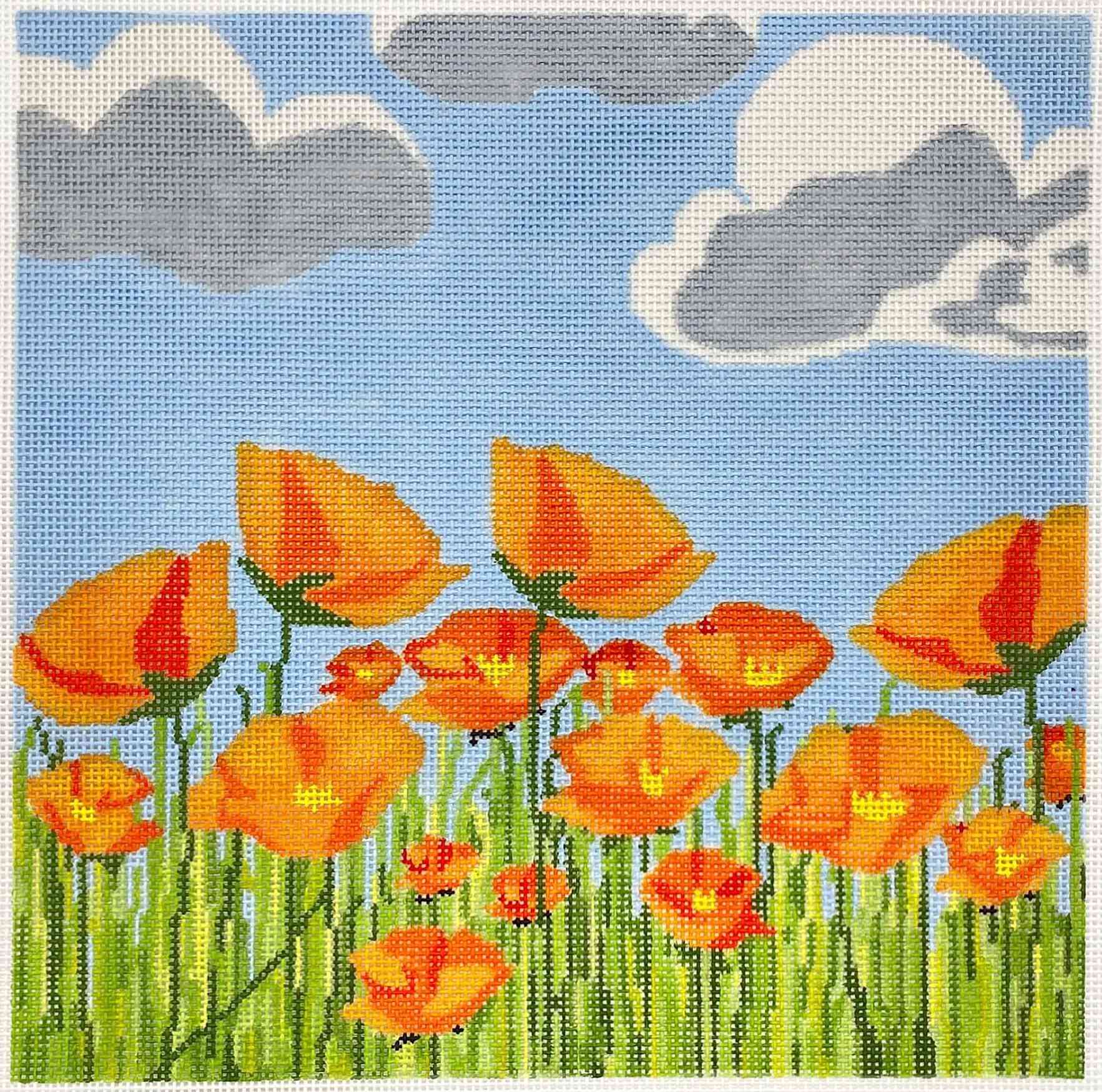 California Poppy - Orange
