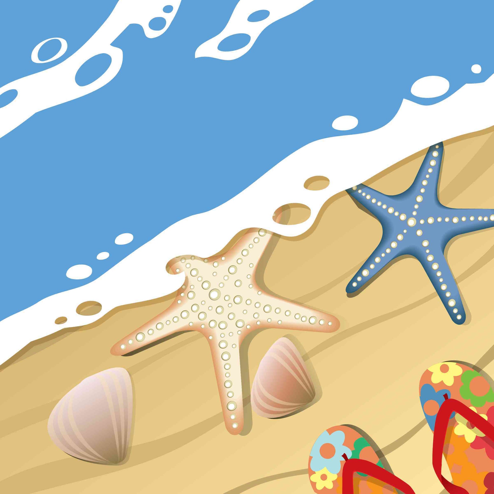 Starfish and Sea Shells