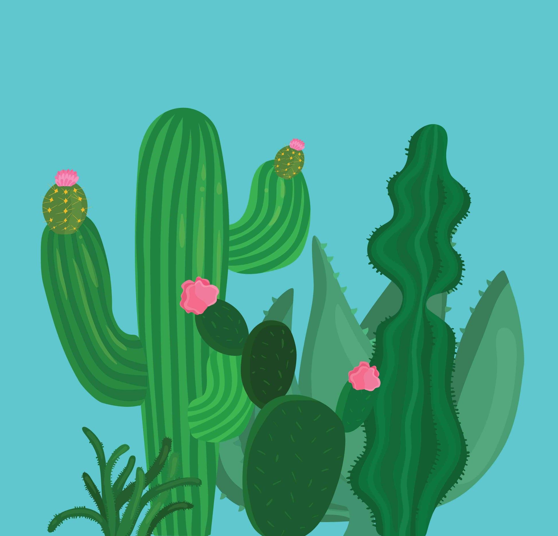 Cacti