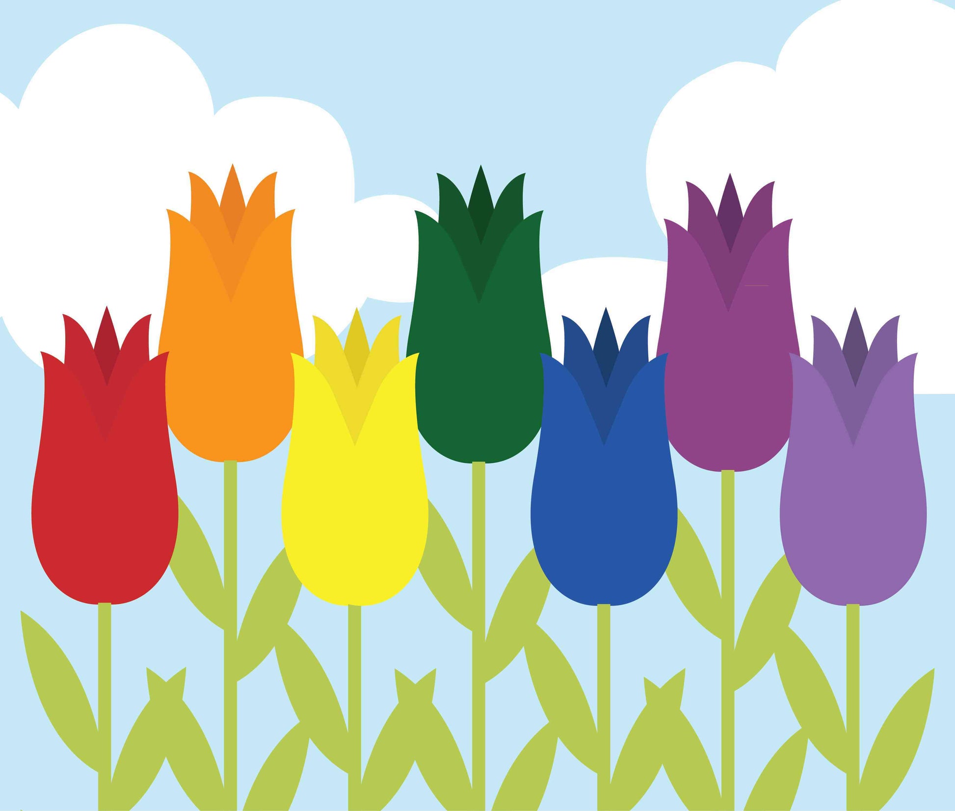 Rainbow Tulips