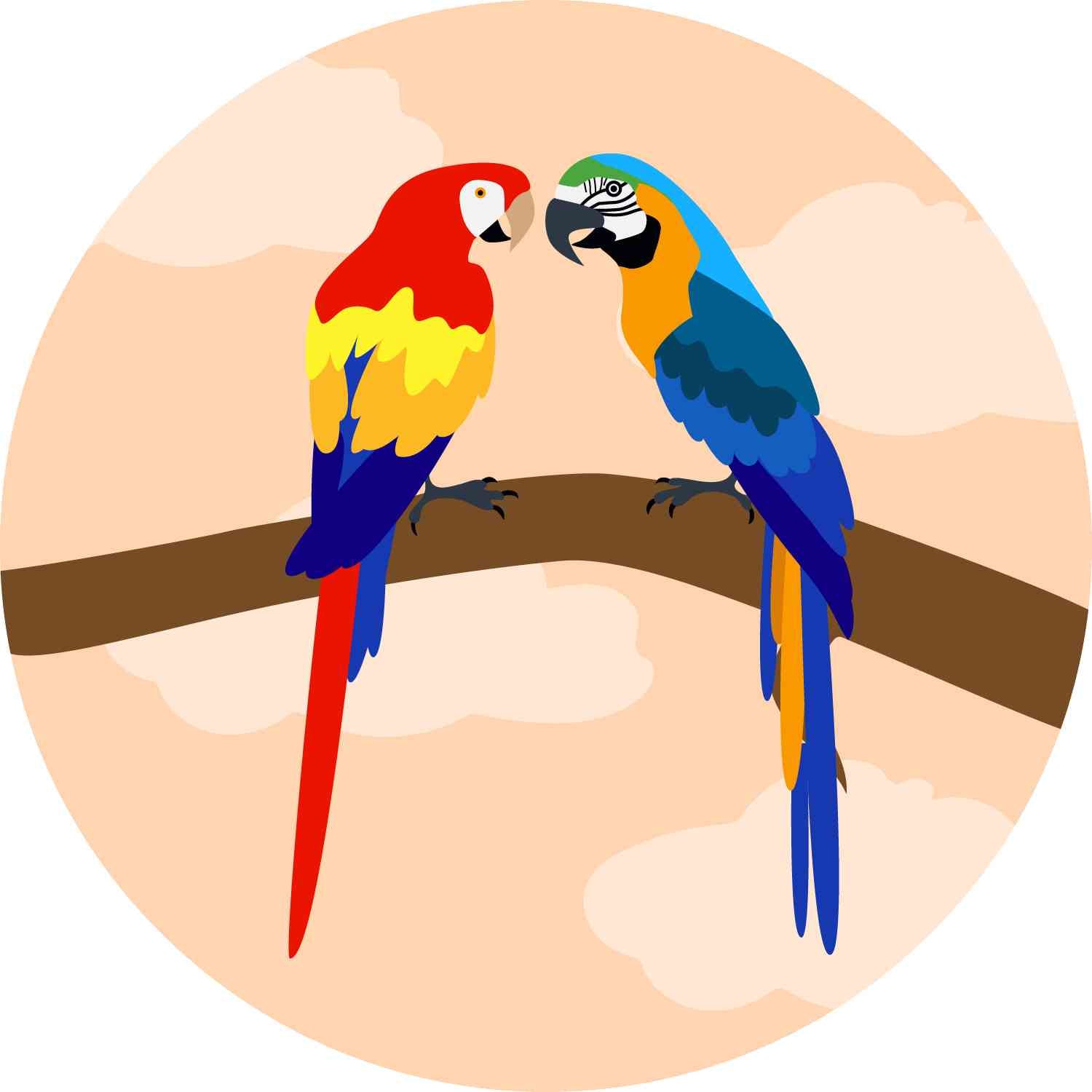 Two Parrots