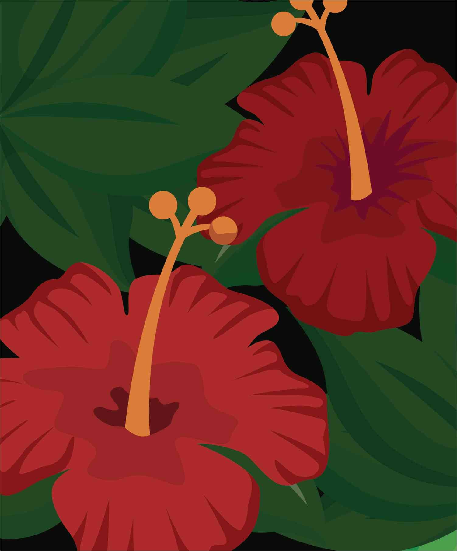 Tropical Hibiscus