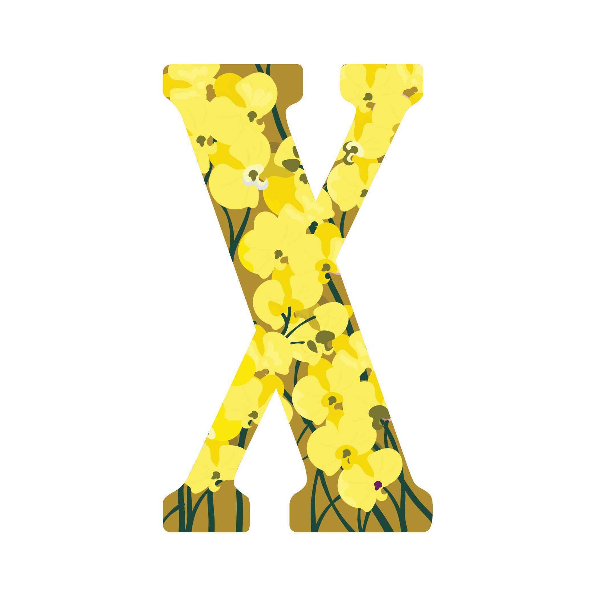 ""X"" Xyris - Alphabetical Florals