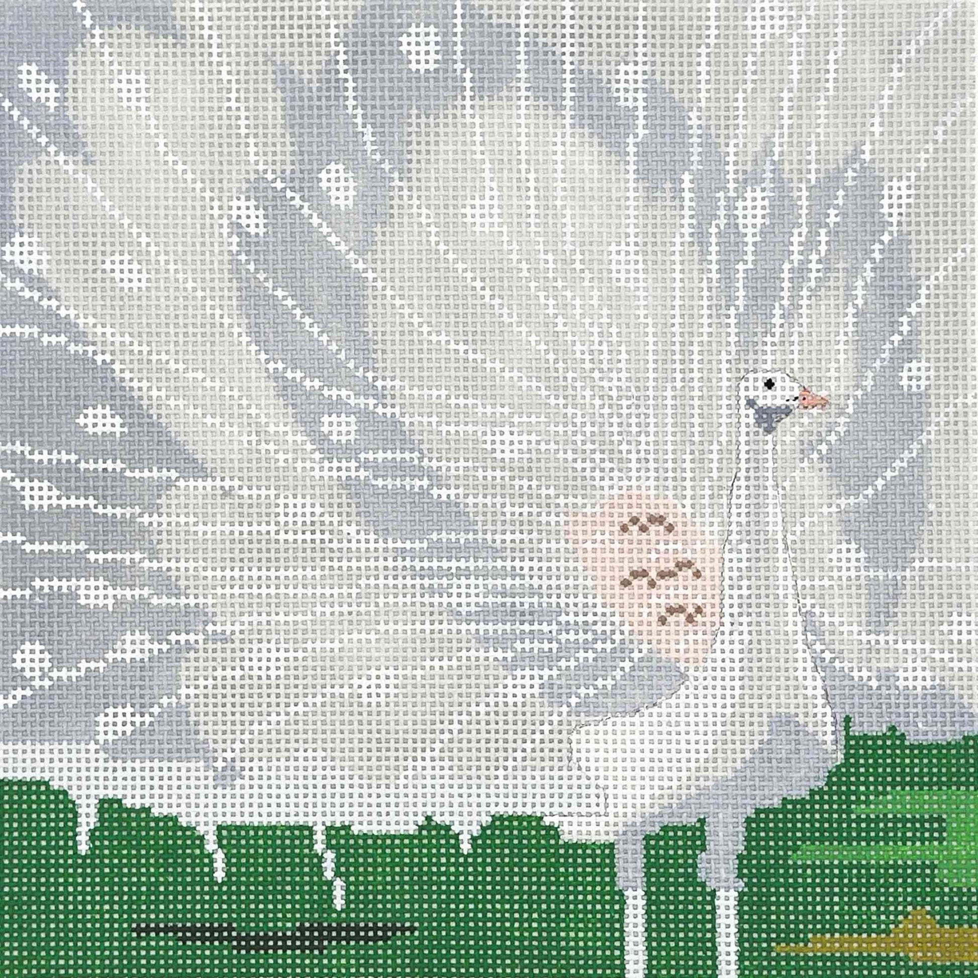 White Peacock