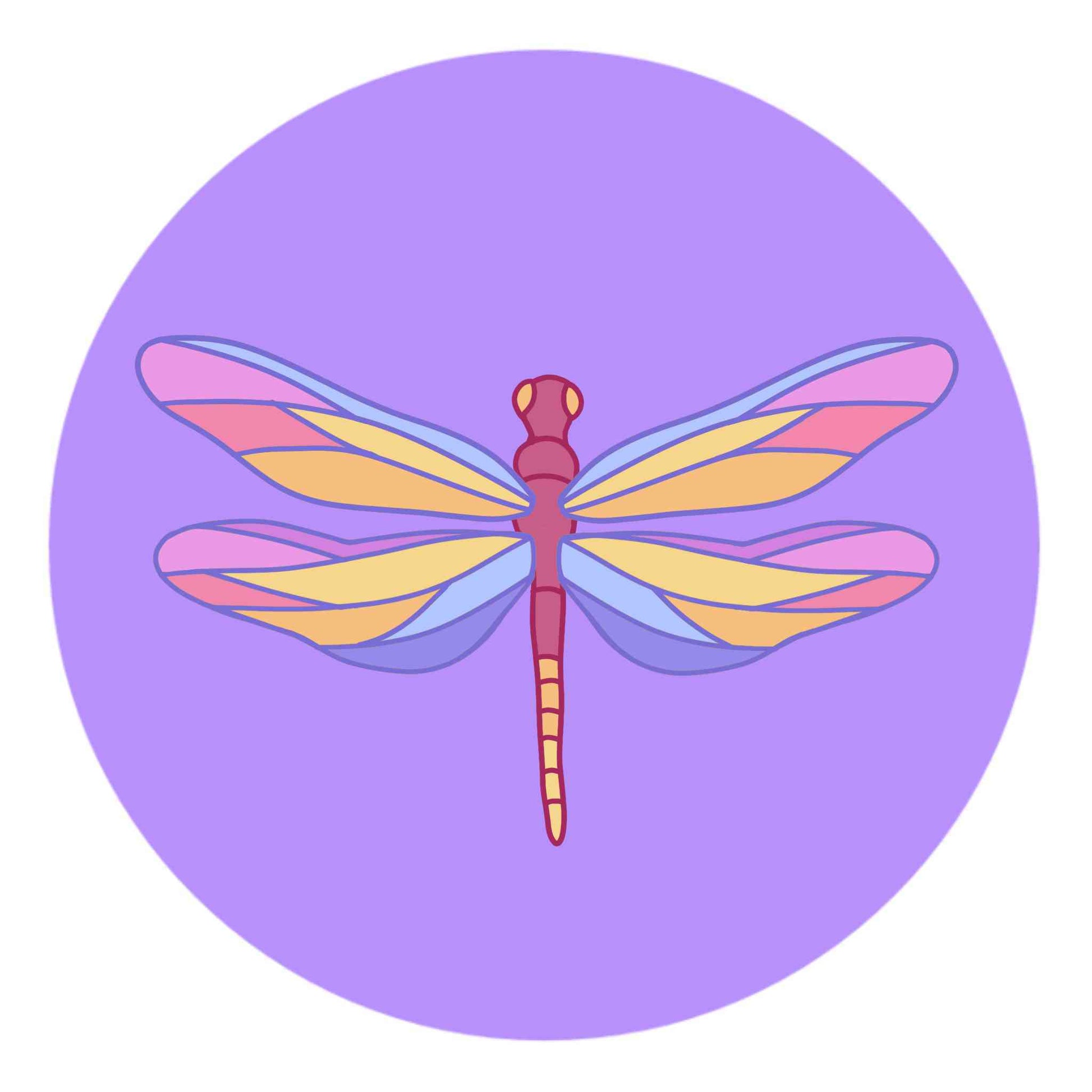 Colorful Dragonfly