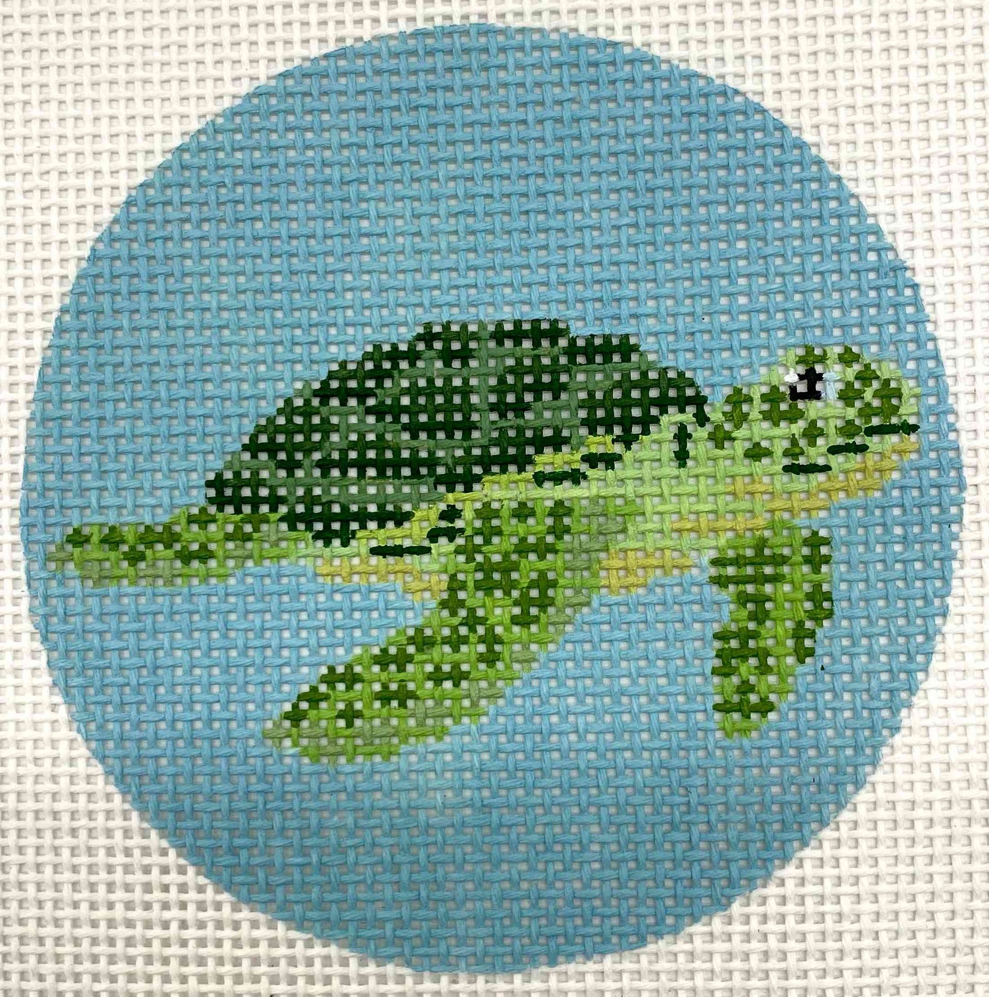 Green Sea Turtle